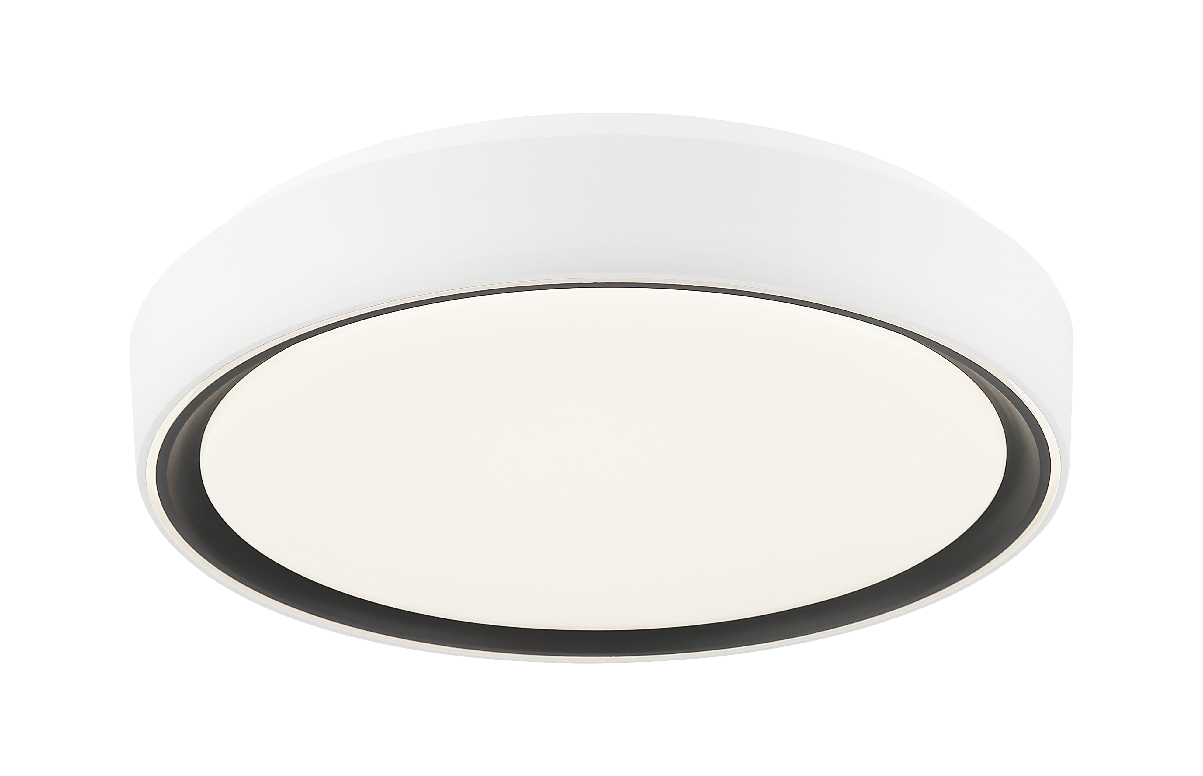 Alamus Ceiling Mount