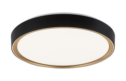 Alamus Ceiling Mount