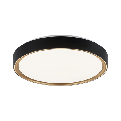 Alamus Ceiling Mount