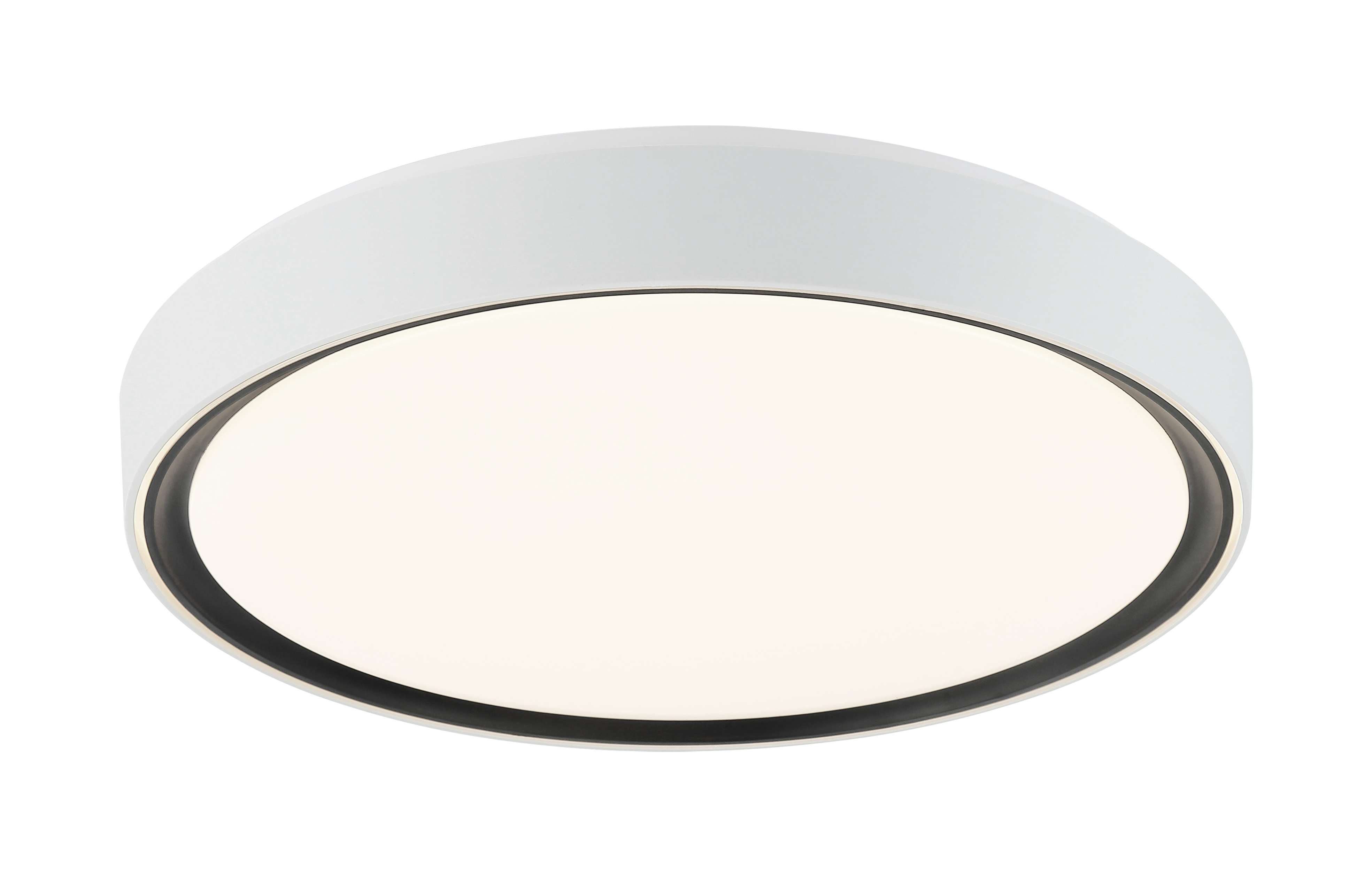 Alamus Ceiling Mount