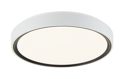 Alamus Ceiling Mount