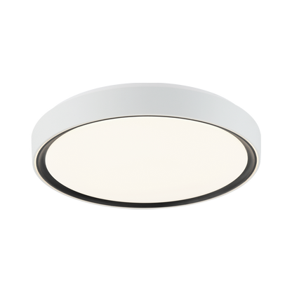 Alamus Ceiling Mount