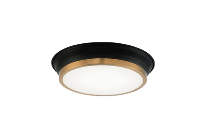 Jaxx Ceiling Mount
