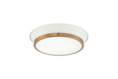 Jaxx Ceiling Mount