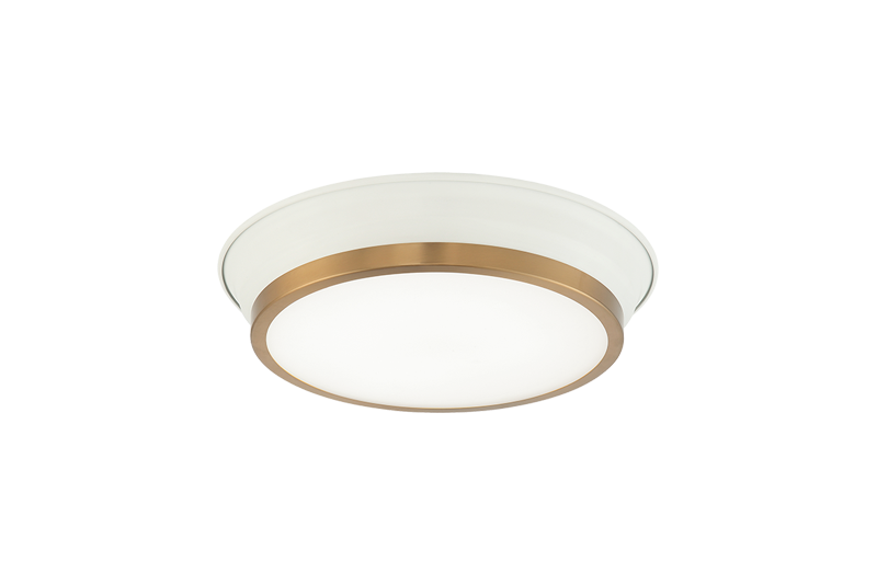 Jaxx Ceiling Mount
