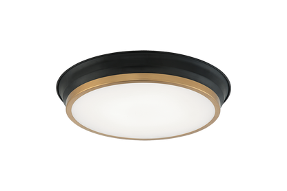 Jaxx Ceiling Mount 2 Light Pendant