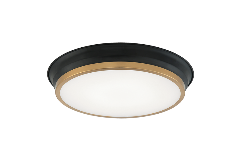 Jaxx Ceiling Mount 2 Light Pendant