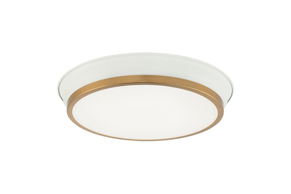 Jaxx Ceiling Mount 2 Light Pendant