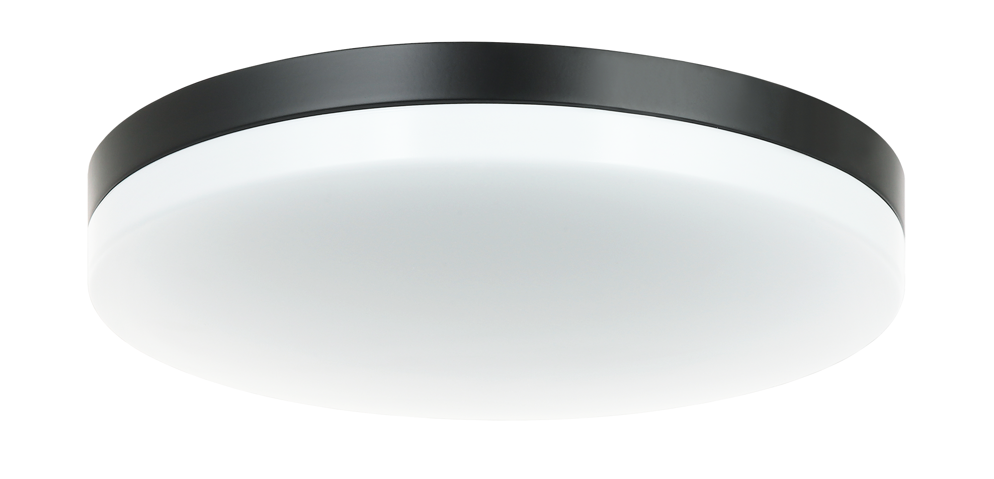Orion Ceiling Mount