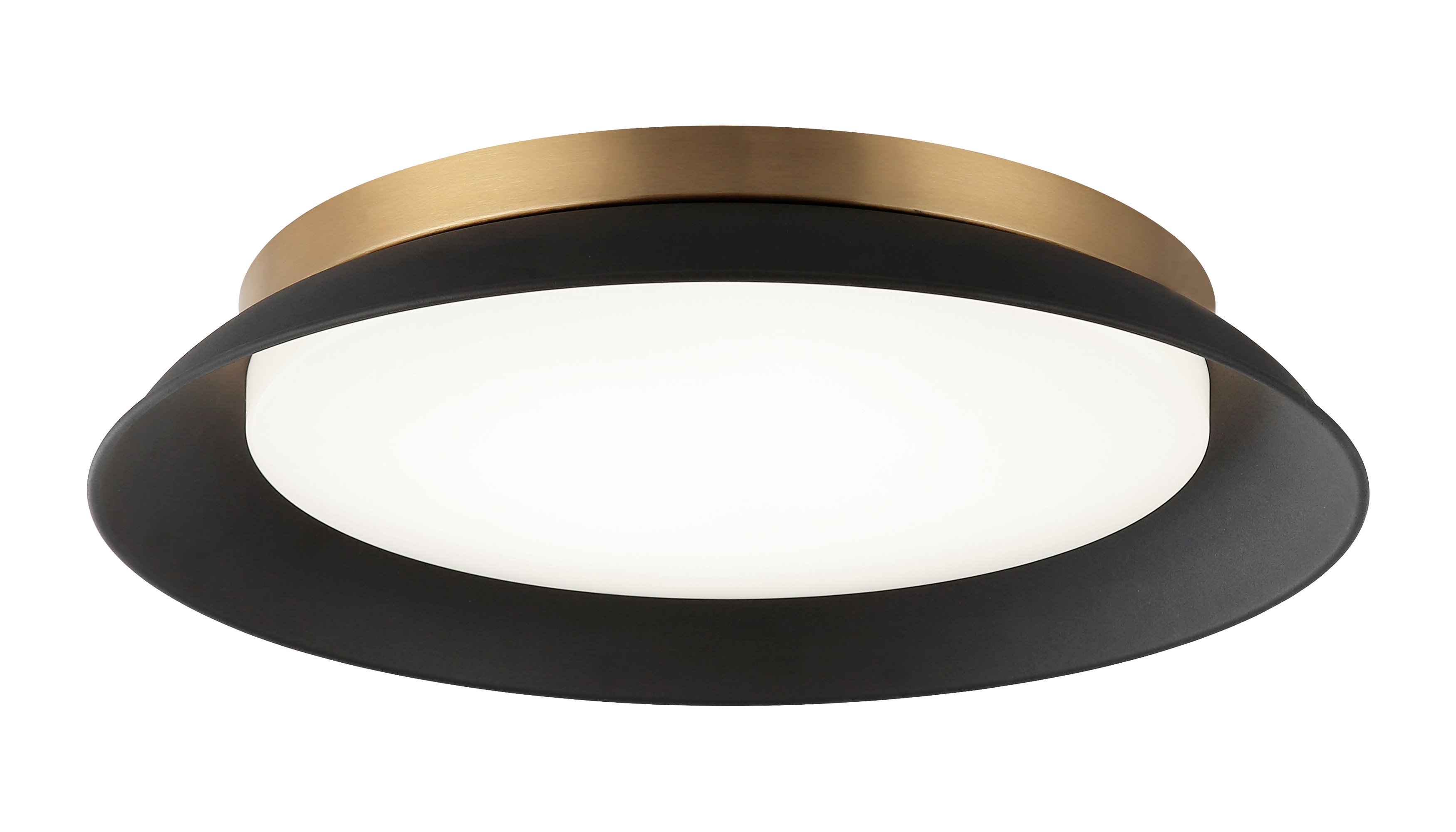 Finley Wall Sconce