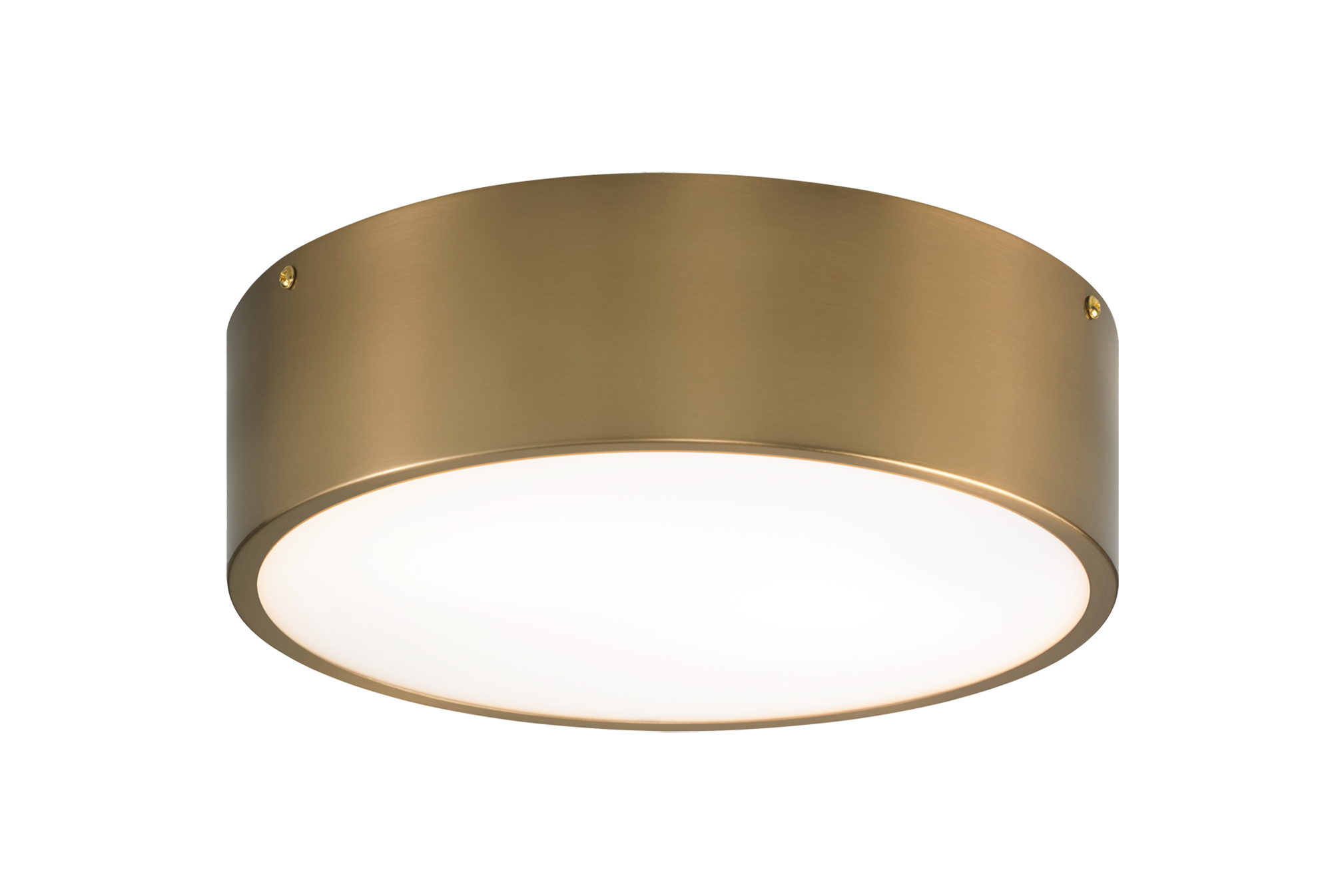 Snare Flush Mounts 2 Light Pendant