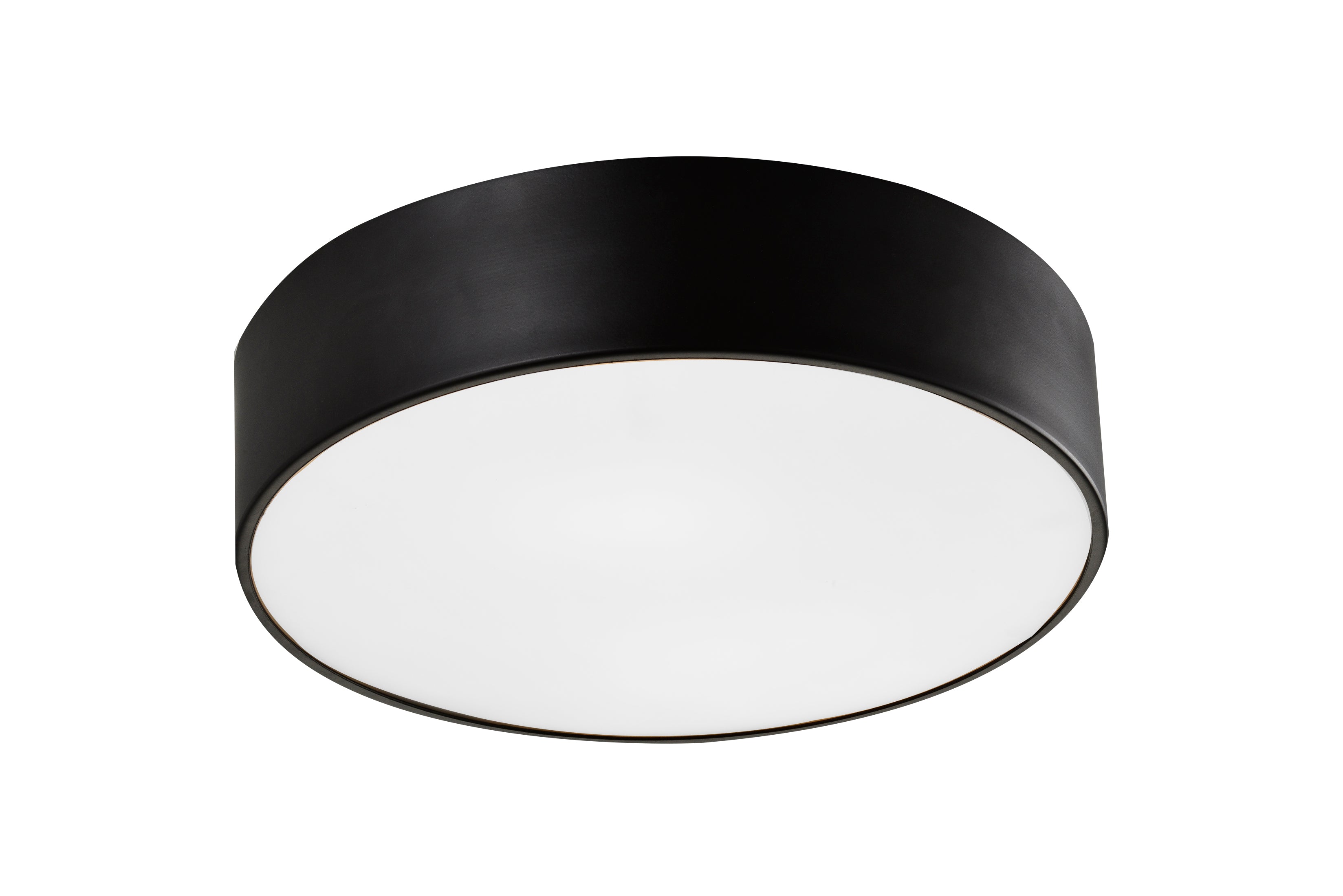 Snare Ceiling Mount 2 Light Pendant