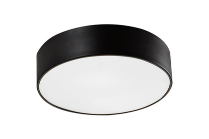 Snare Ceiling Mount 2 Light Pendant