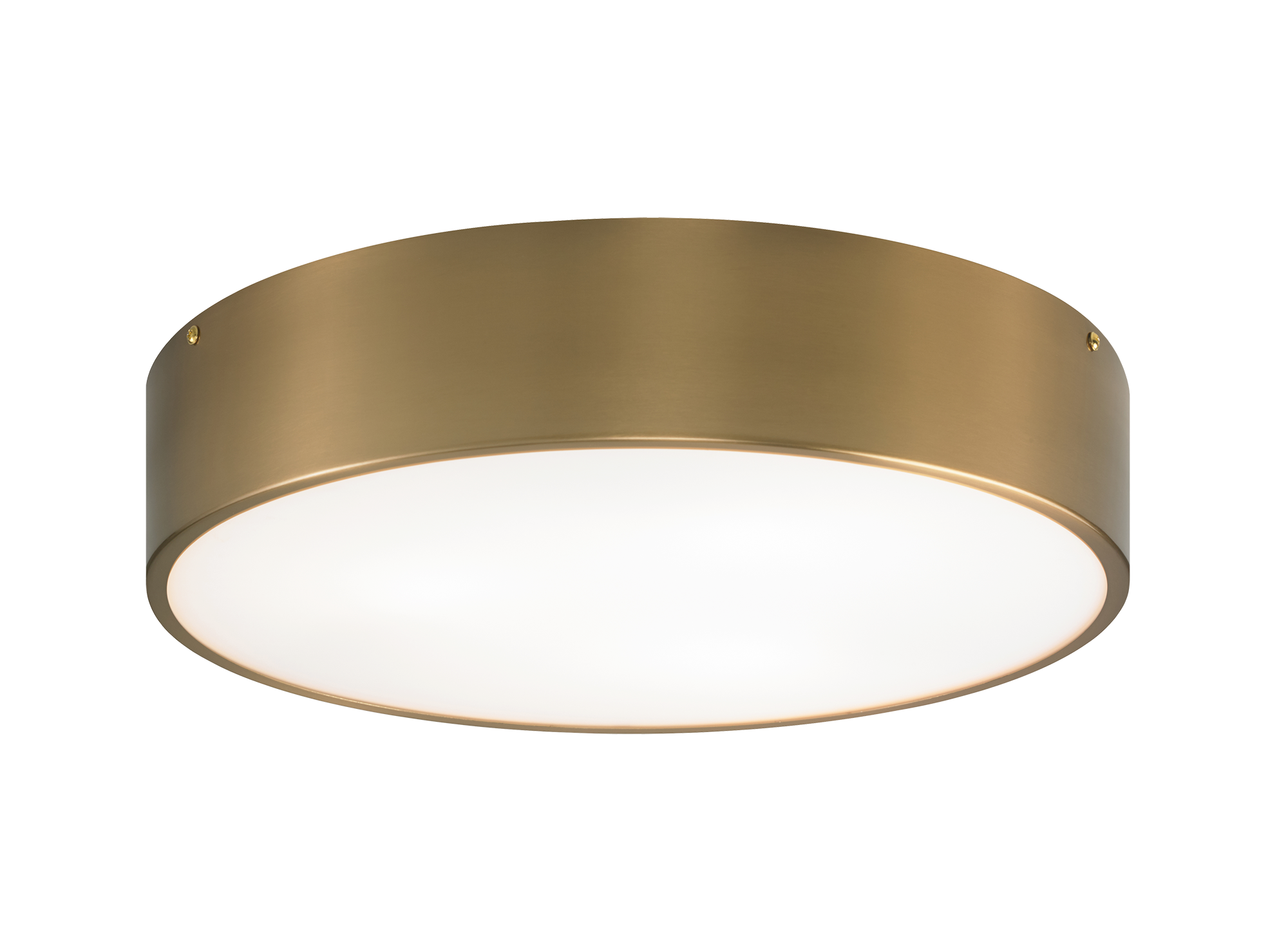 Snare Flush Mounts 3 Light Pendant