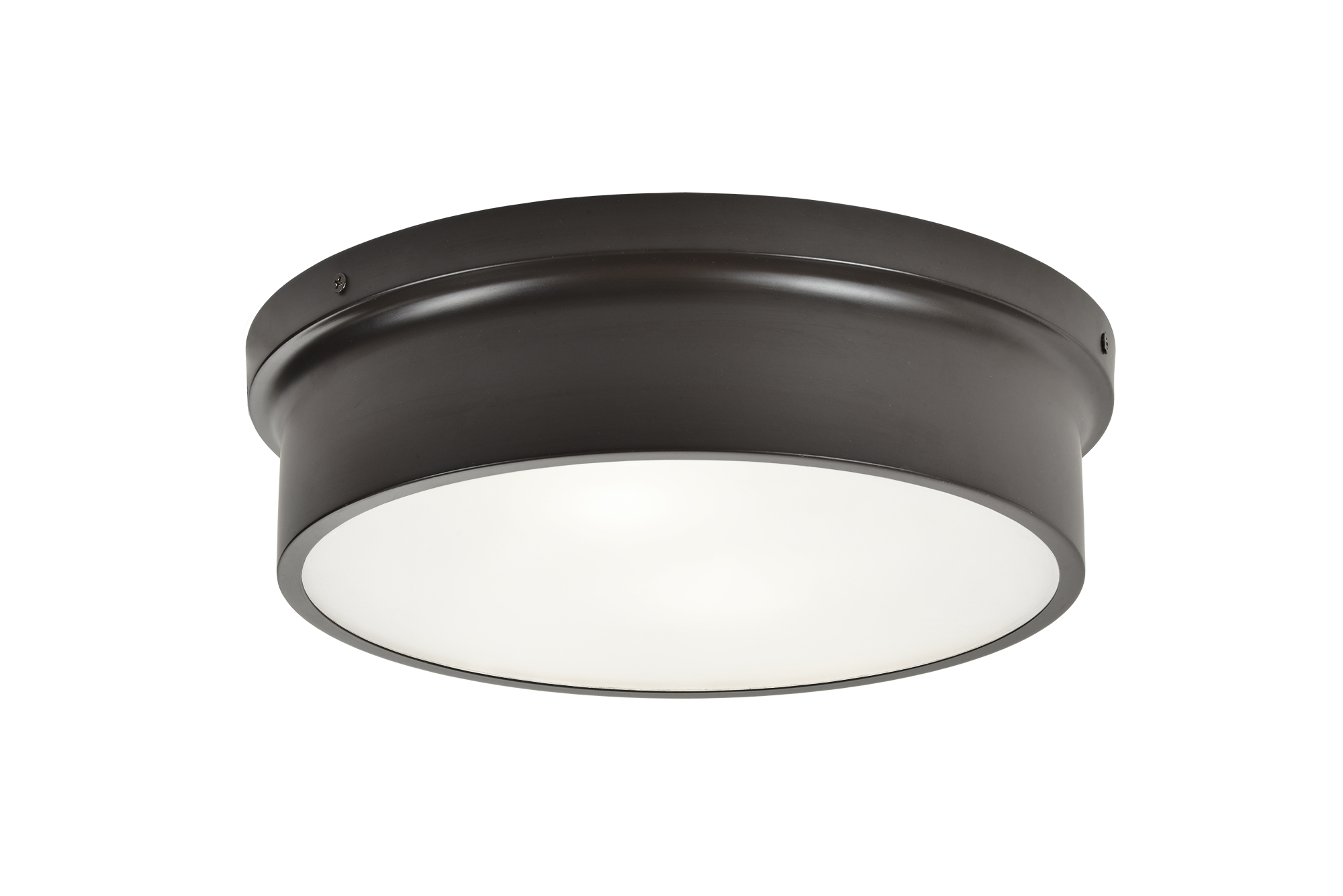 Ciotola Ceiling Mount 2 Light Pendant
