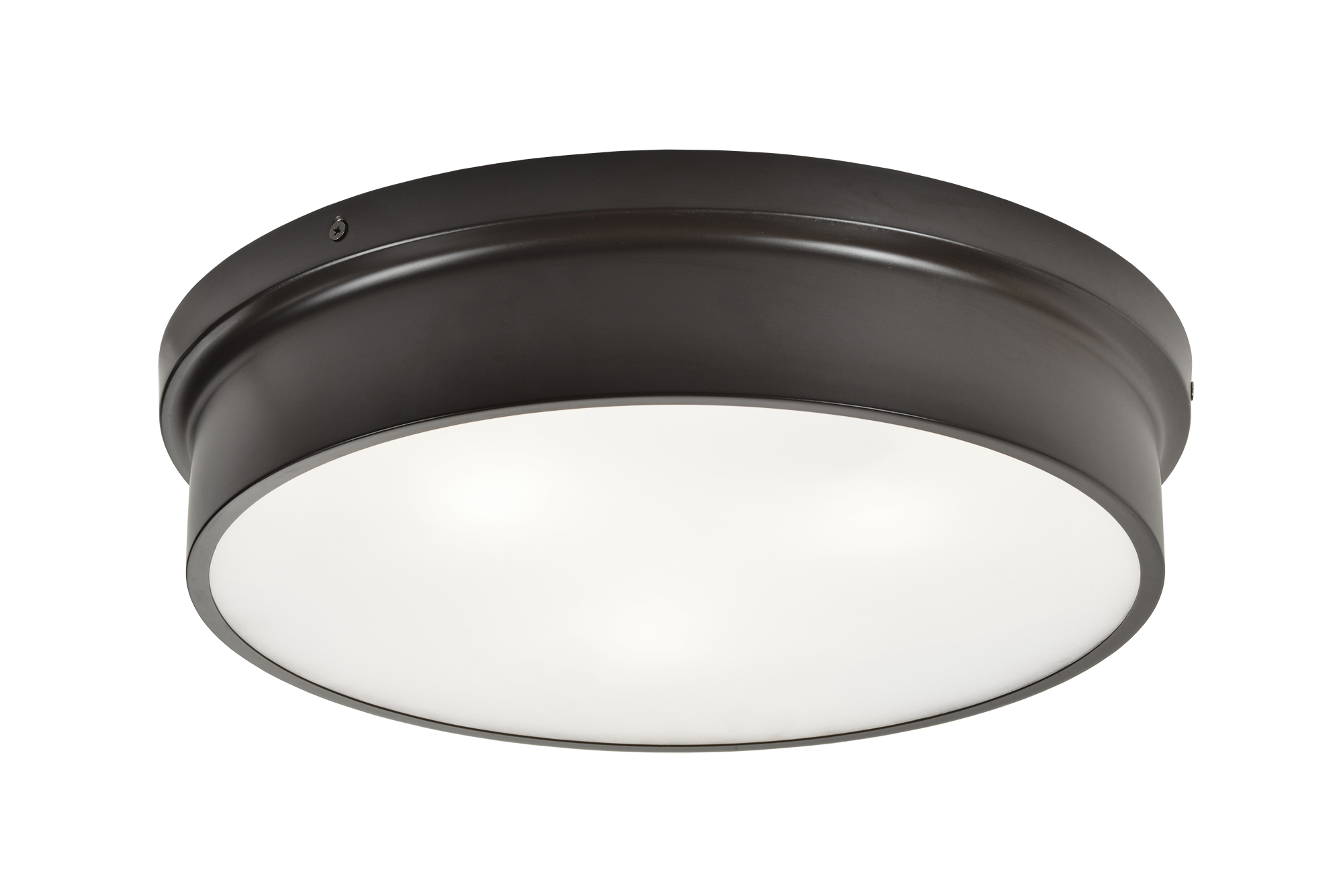 Ciotola Ceiling Mount 3 Light Pendant