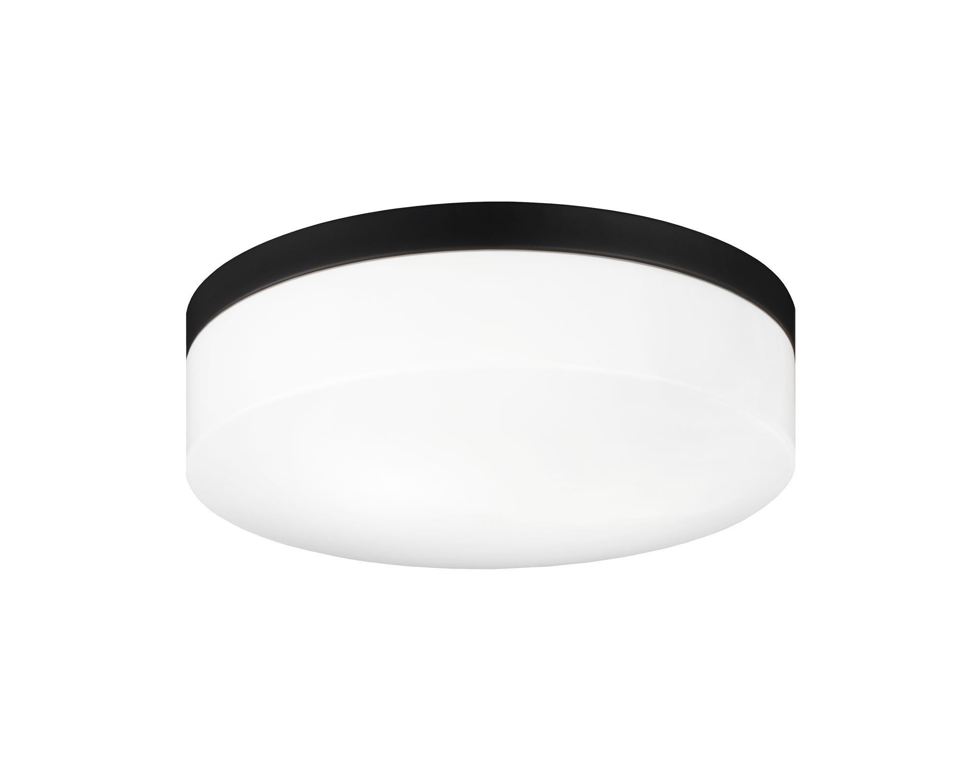 Xenon Ceiling Mount 2 Light Pendant