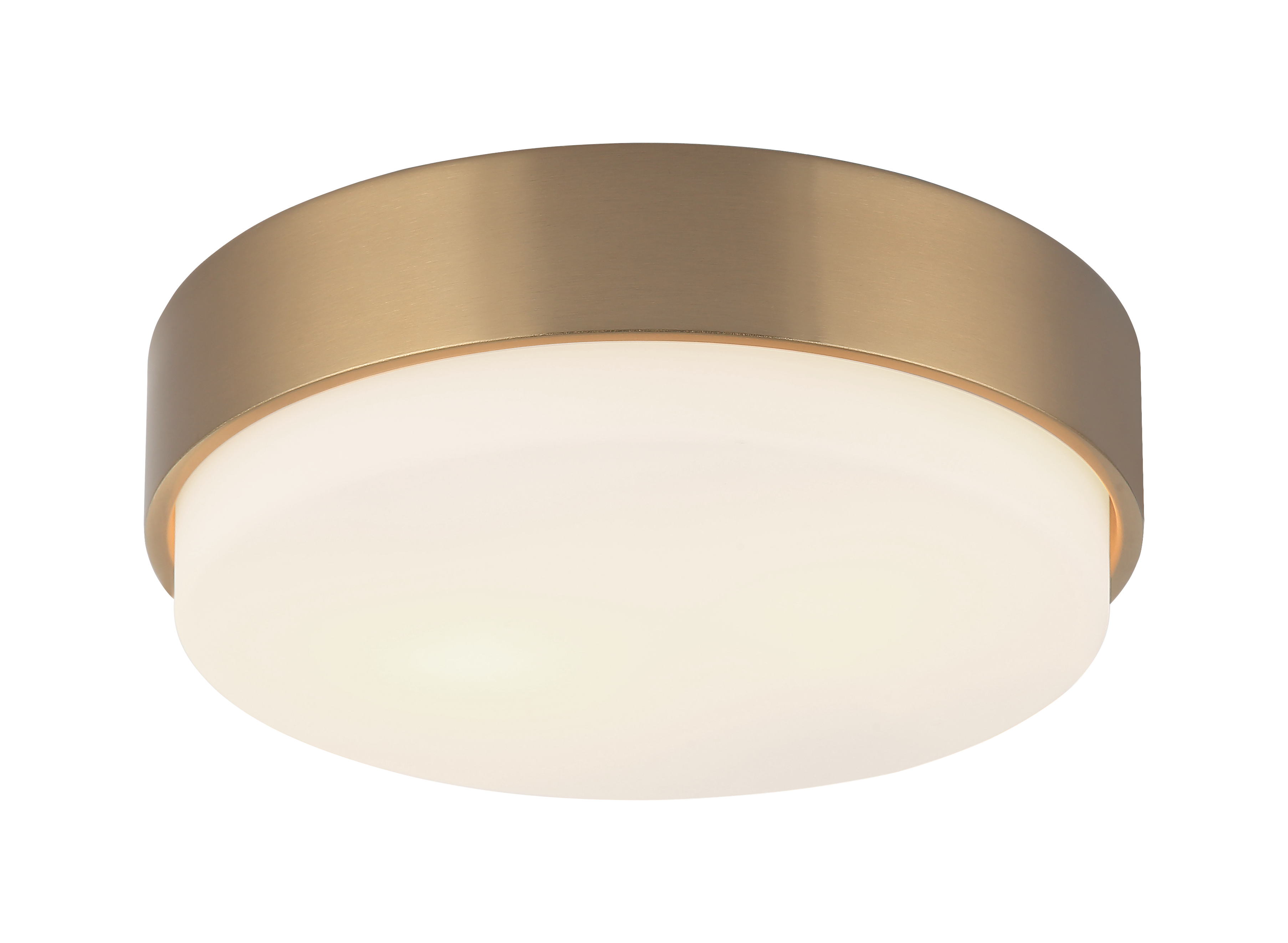 Quintz Ceiling Mount 2 Light Pendant