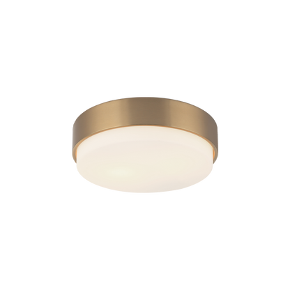 Quintz Ceiling Mount