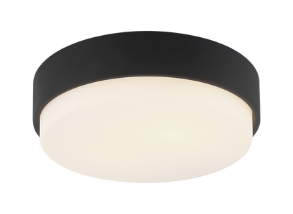 Quintz Ceiling Mount 2 Light Pendant