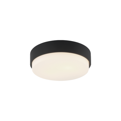 Quintz Ceiling Mount