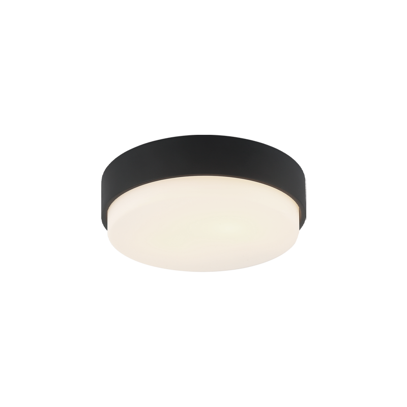 Quintz Ceiling Mount