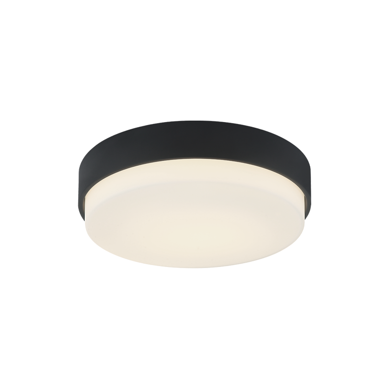 Quintz Ceiling Mount