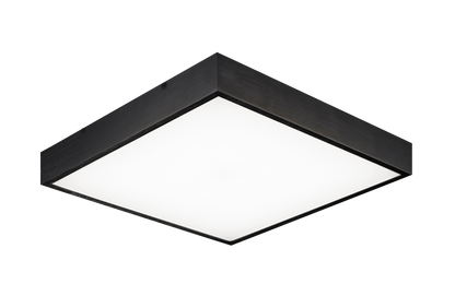 Kashi Ceiling Mount