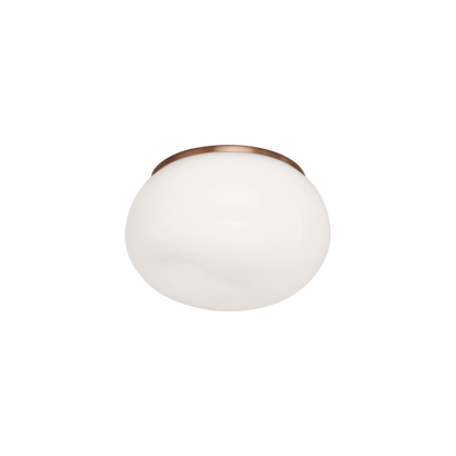 Gelasin Flush Mounts