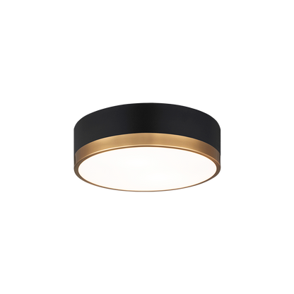 Trydor Ceiling Mount