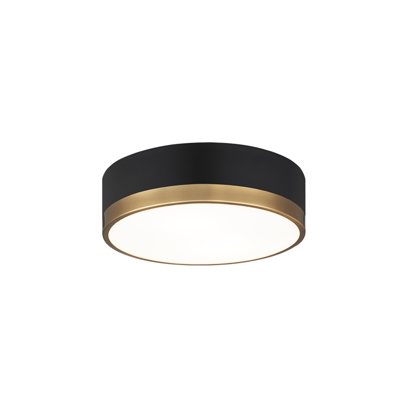 Trydor Ceiling Mount
