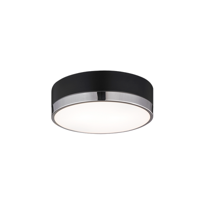 Trydor Ceiling Mount