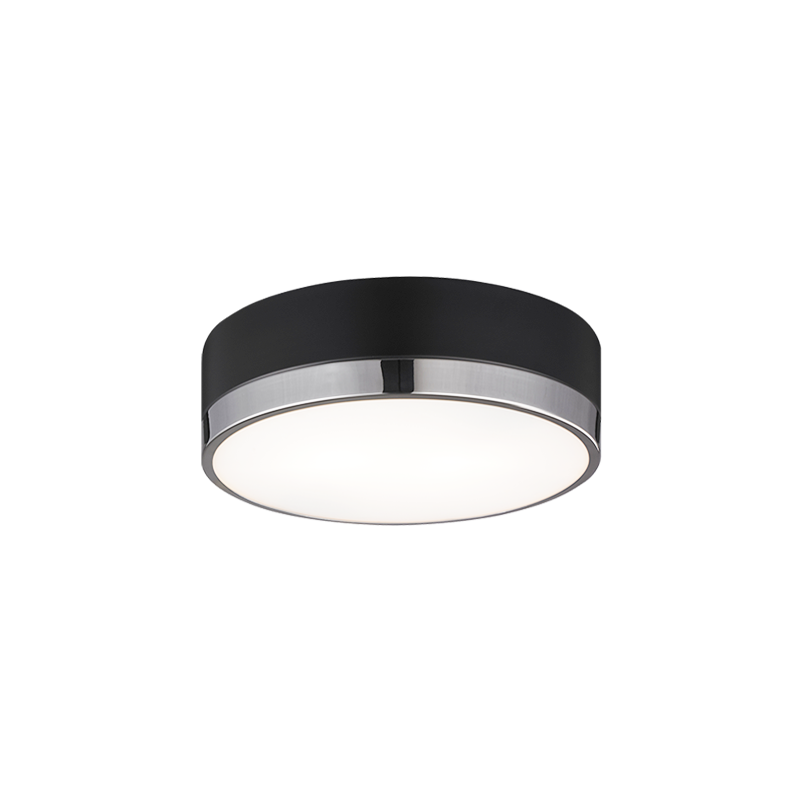 Trydor Ceiling Mount