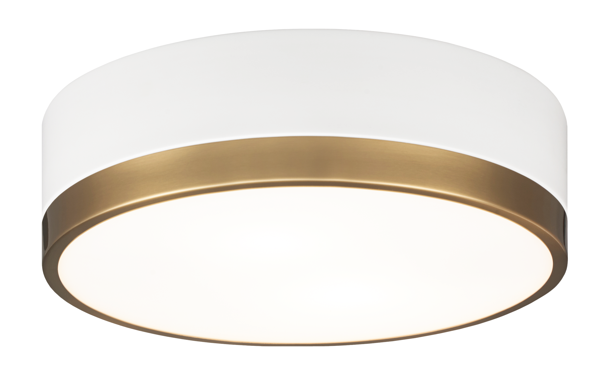 Trydor Ceiling Mount 2 Light Pendant