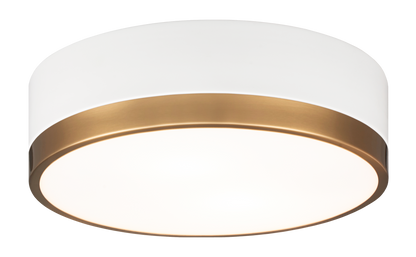 Trydor Ceiling Mount 2 Light Pendant