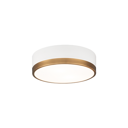 Trydor Ceiling Mount