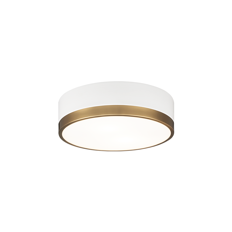 Trydor Ceiling Mount