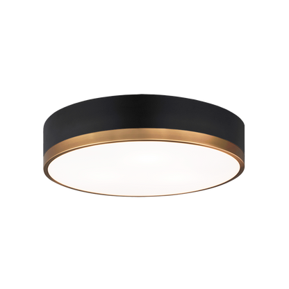 Trydor Ceiling Mount