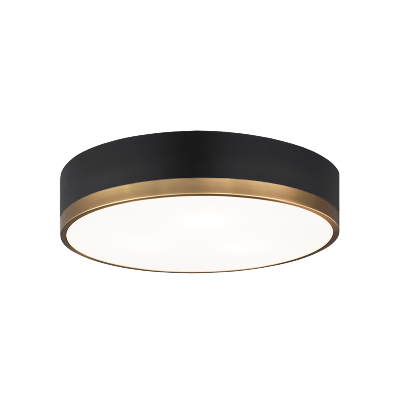 Trydor Ceiling Mount