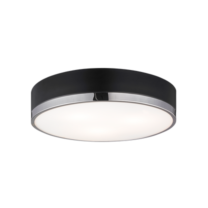 Trydor Ceiling Mount