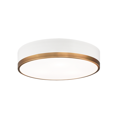 Trydor Ceiling Mount