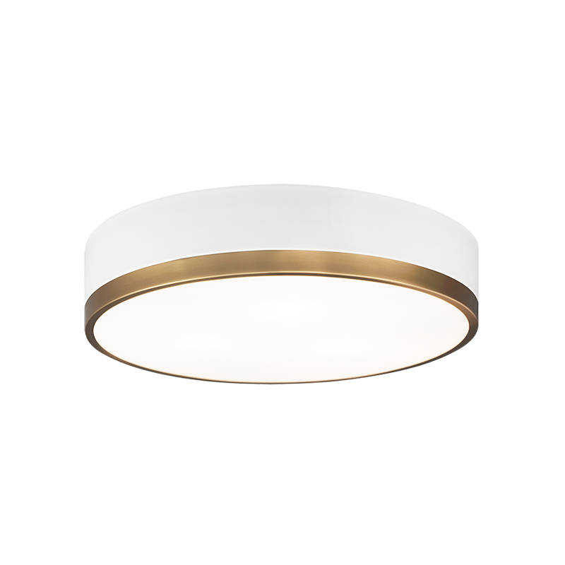 Trydor Ceiling Mount