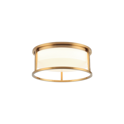 Framerton Ceiling Mount