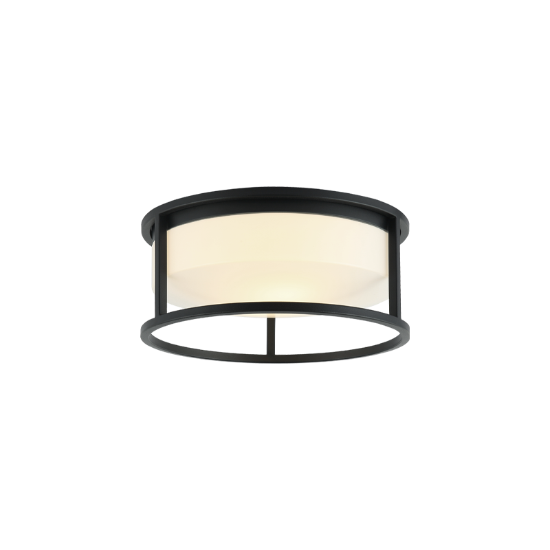 Framerton Ceiling Mount
