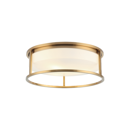 Framerton Ceiling Mount