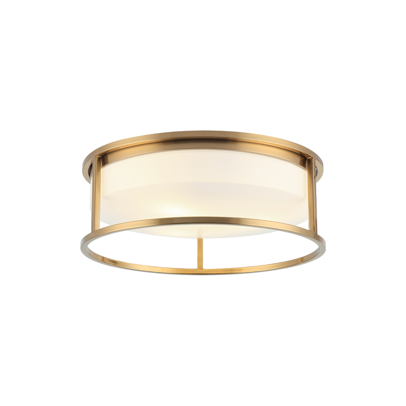 Framerton Ceiling Mount