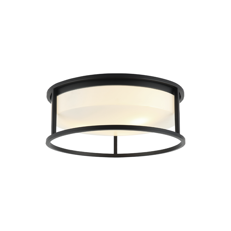 Framerton Ceiling Mount