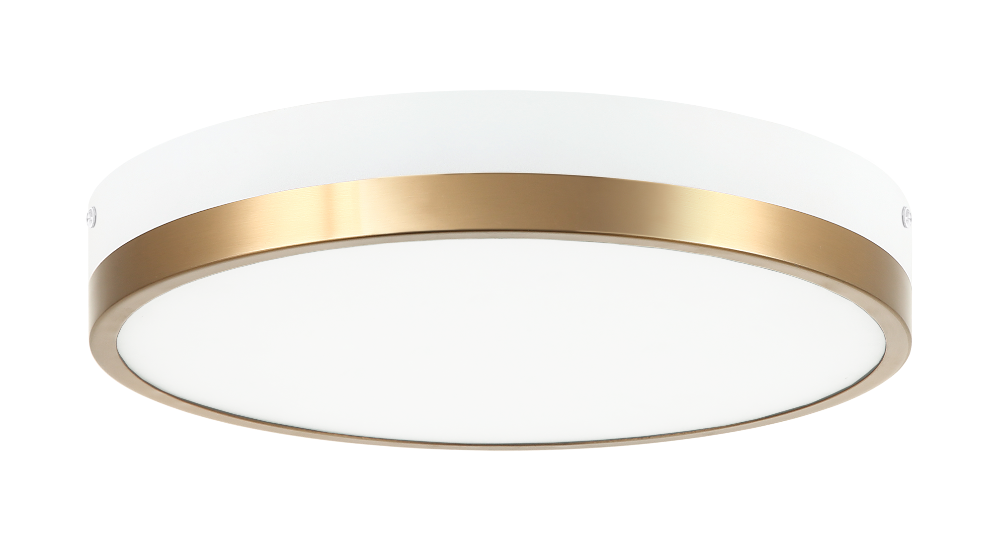 Tone Ceiling Mount