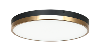 Tone Ceiling Mount