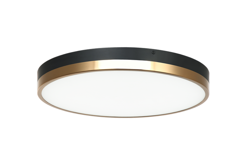 Tone Ceiling Mount
